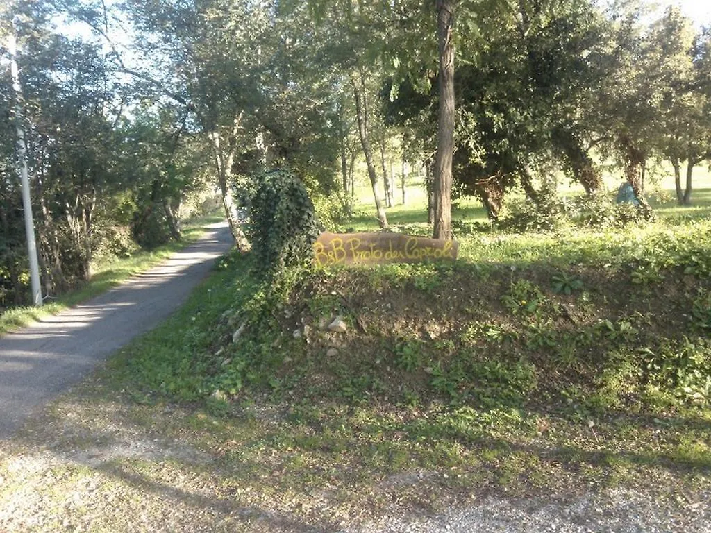Bed & Breakfast B&B Prato Dei Caprioli